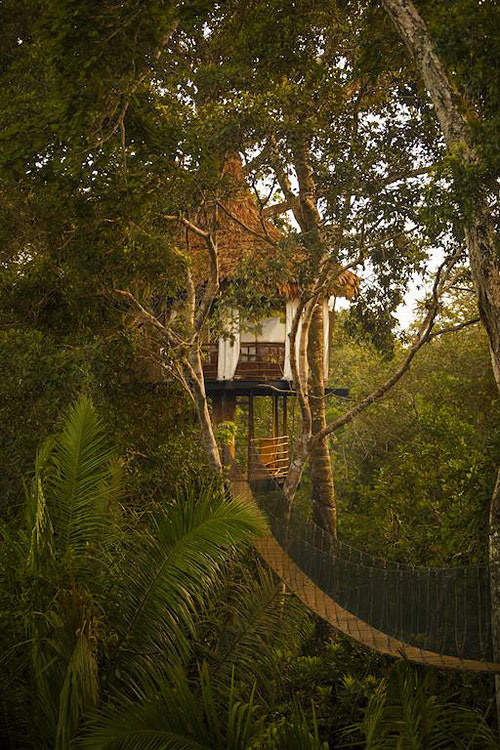 Treehouse Lodge Bungalows dans les arbres for  t amazonienne