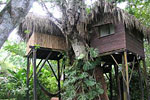 photo parrot nest lodge