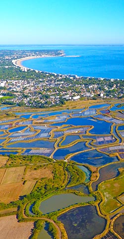 Pays de Loire