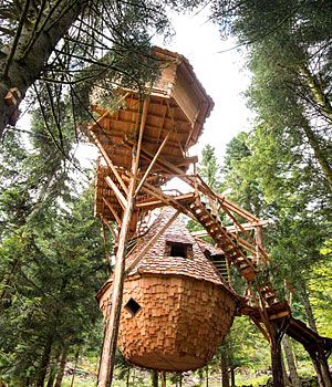 Cabane dans les arbres