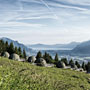 Photo numero 38