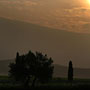 Photo numero 39