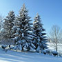 Photo numero 12