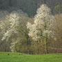 Photo numero 13