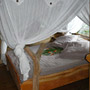Photo numero 10