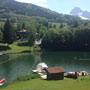 Photo numero 5
