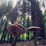 Photo numero 21