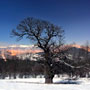 Photo numero 40