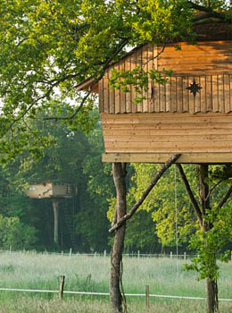 Cabanes dans les arbres