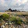 Photo numero 5