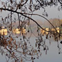 Photo numero 5