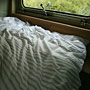 Photo numero 11