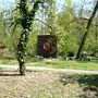 Photo numero 23
