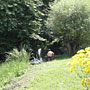 Photo numero 27