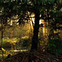 Photo numero 28