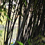 Photo numero 17