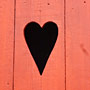 Photo numero 19