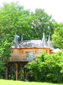 Châteaux dans les Arbres