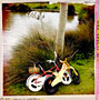 Photo numero 80