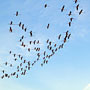 Photo numero 25