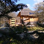 Photo numero 19