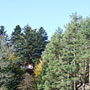Photo numero 10