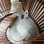 Photo numero 12