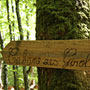 Photo numero 26