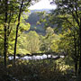 Photo numero 26