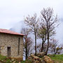 Photo numero 5