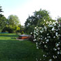 Photo numero 6