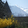 Photo numero 18