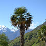 Photo numero 19