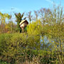 Photo numero 10