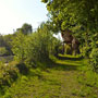 Photo numero 13