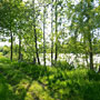 Photo numero 15