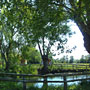 Photo numero 17