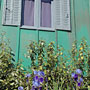 Photo numero 8