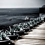 Photo numero 14