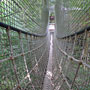 Photo numero 15