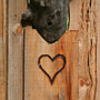 Photo numero 14