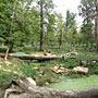 Photo numero 28