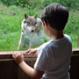 Photo numero 37