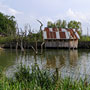 Photo numero 39