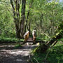 Photo numero 14