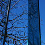 Photo numero 13