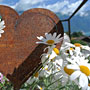 Photo numero 17