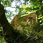 Photo numero 12