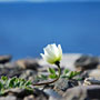 Photo numero 8