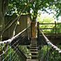 Photo numero 7